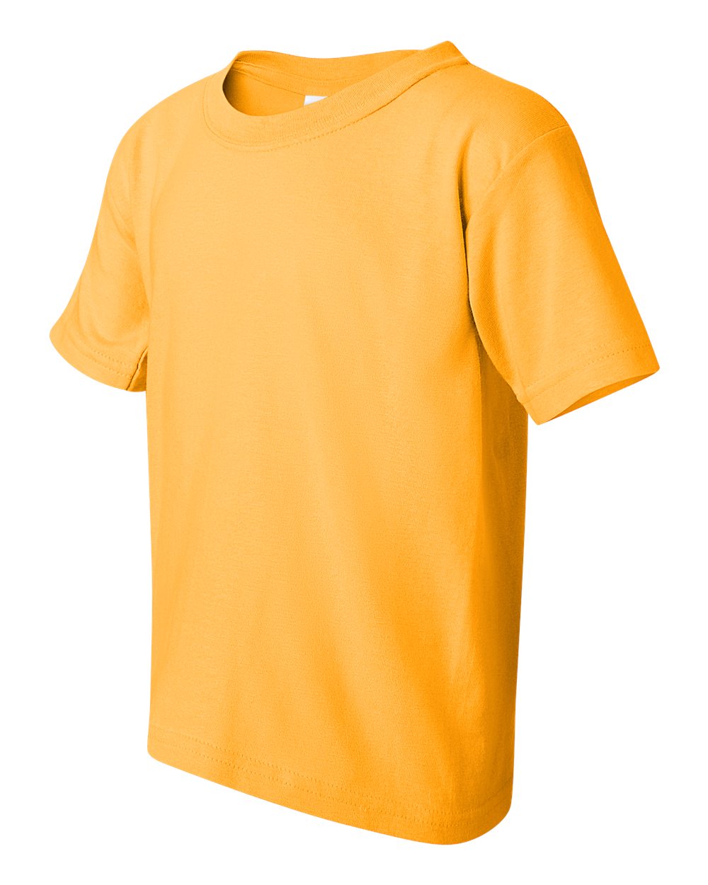 Gold Heavy Cotton™ Youth T-Shirt - 5000B