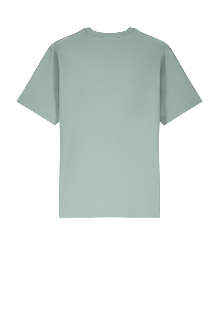 Rear View of Aloe Stanley/Stella Unisex Freestyler Heavyweight Tee SXU018