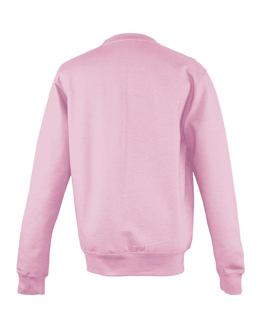 Rear View of Baby Pink College Crewneck Sweatshirt - JHA030
