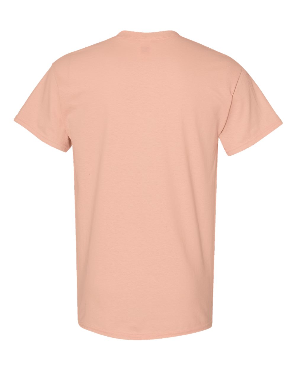 Rear View of Dusty Rose Heavy Cotton™ T-Shirt - 5000