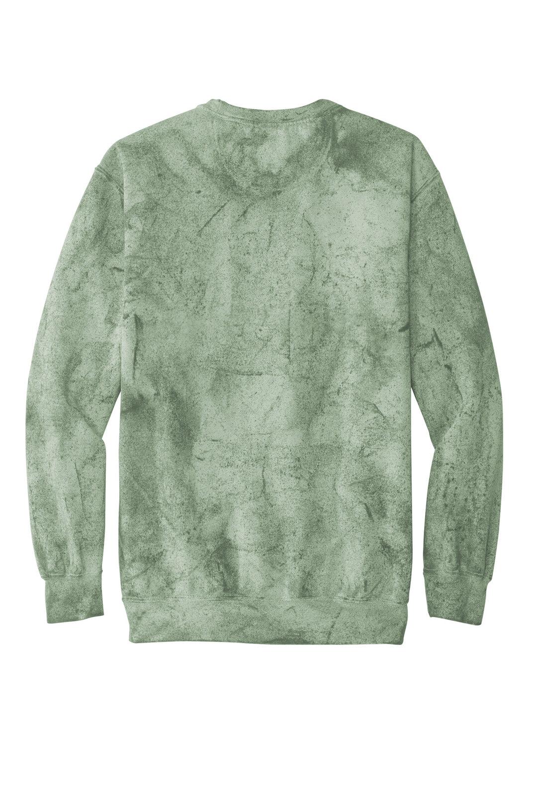 Rear View of Fern Comfort Colors Color Blast Crewneck Sweatshirt 1545