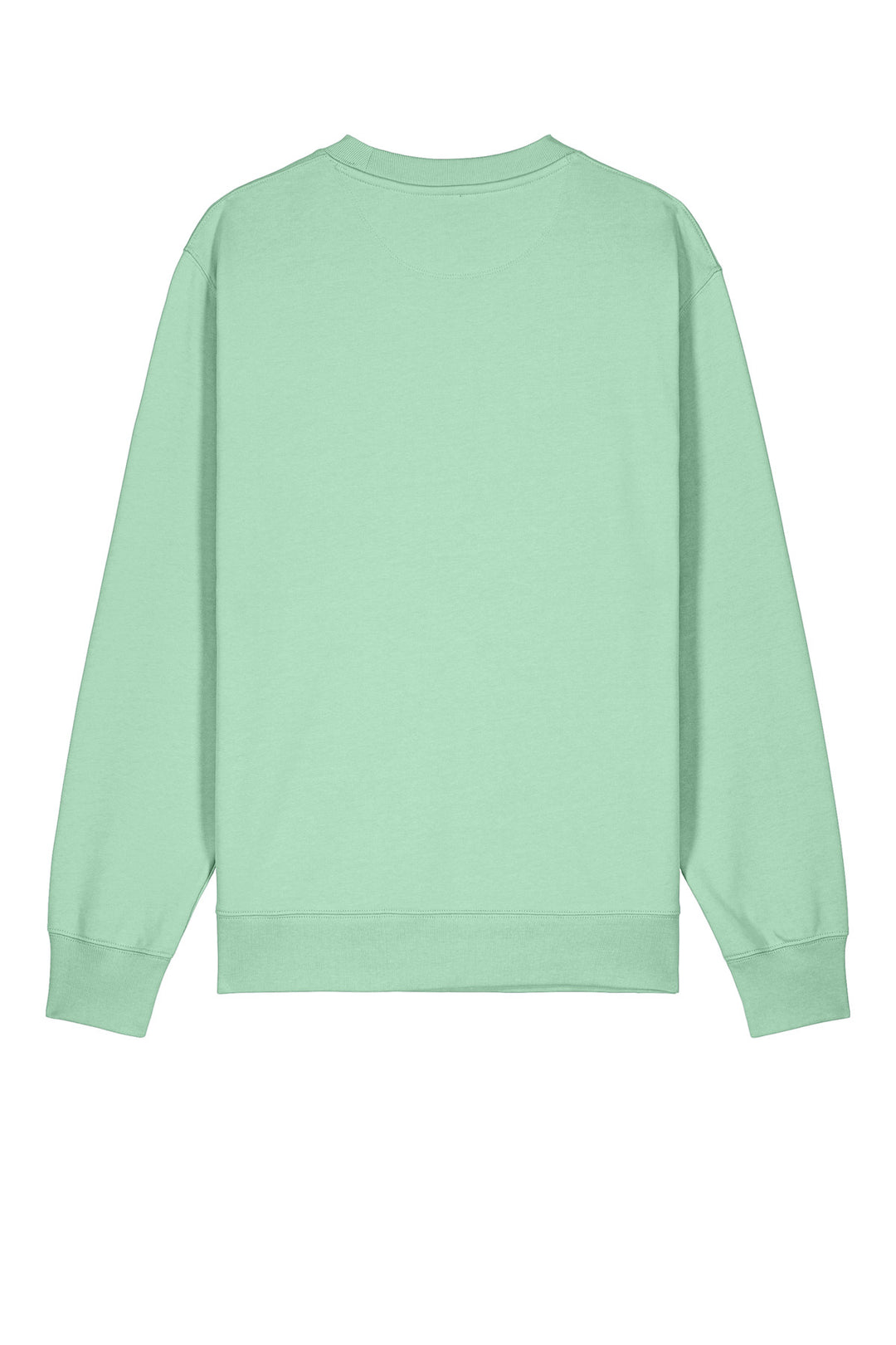 Rear View of MistyJade Stanley/Stella Unisex Changer 2.0 Crewneck Sweatshirt SXU004