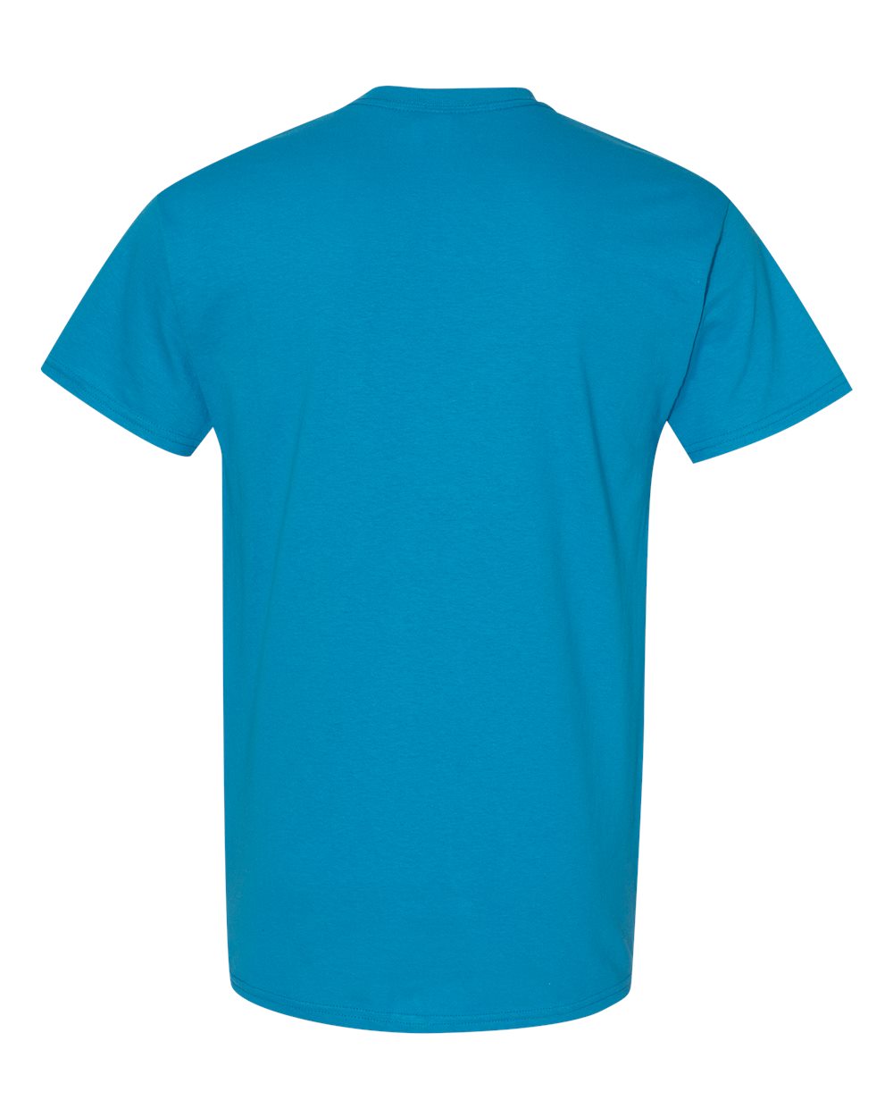 Rear View of Sapphire Heavy Cotton™ T-Shirt - 5000