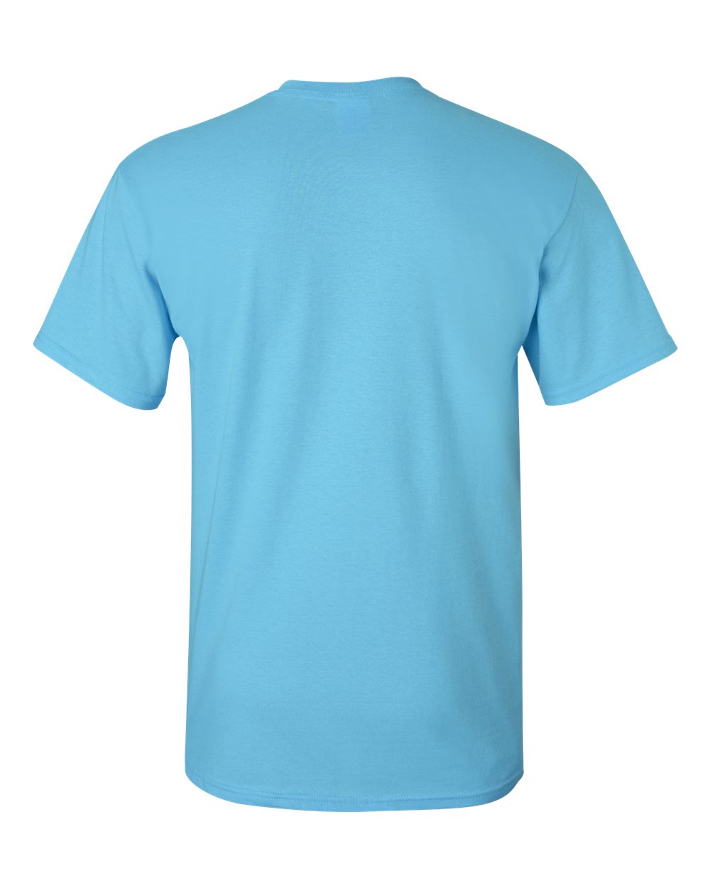 Rear View of Sky Heavy Cotton™ T-Shirt - 5000