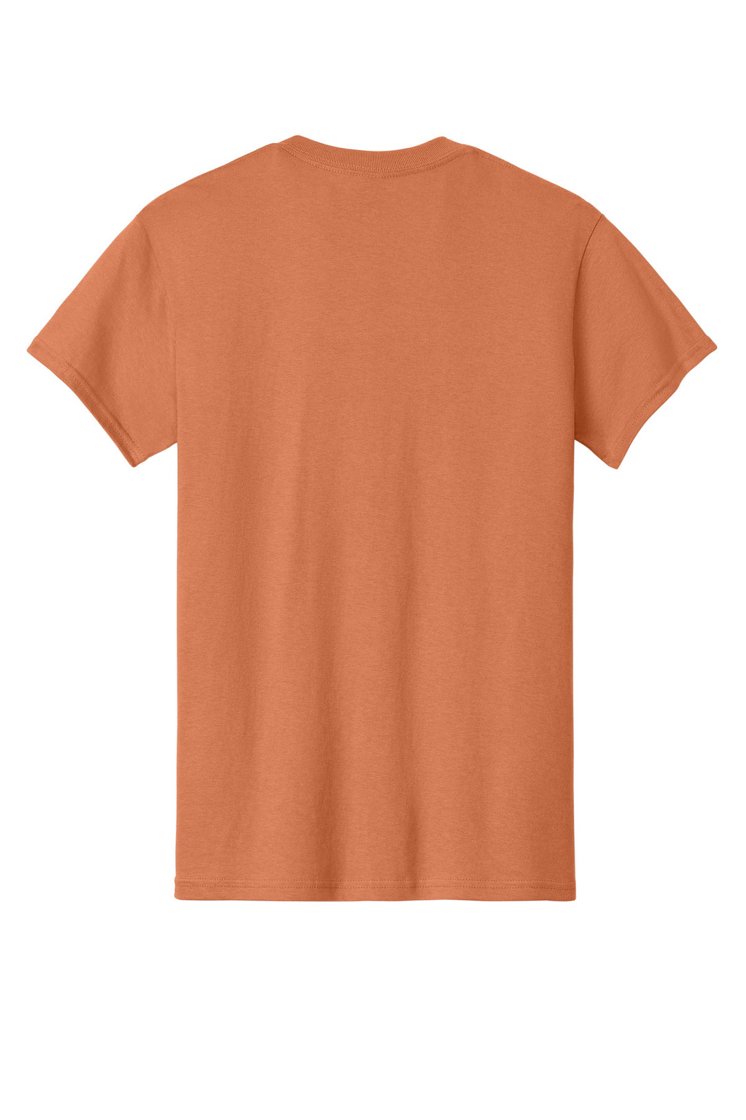 Rear View of Sunset Gildan - Heavy Cotton 100% Cotton T-Shirt. 5000