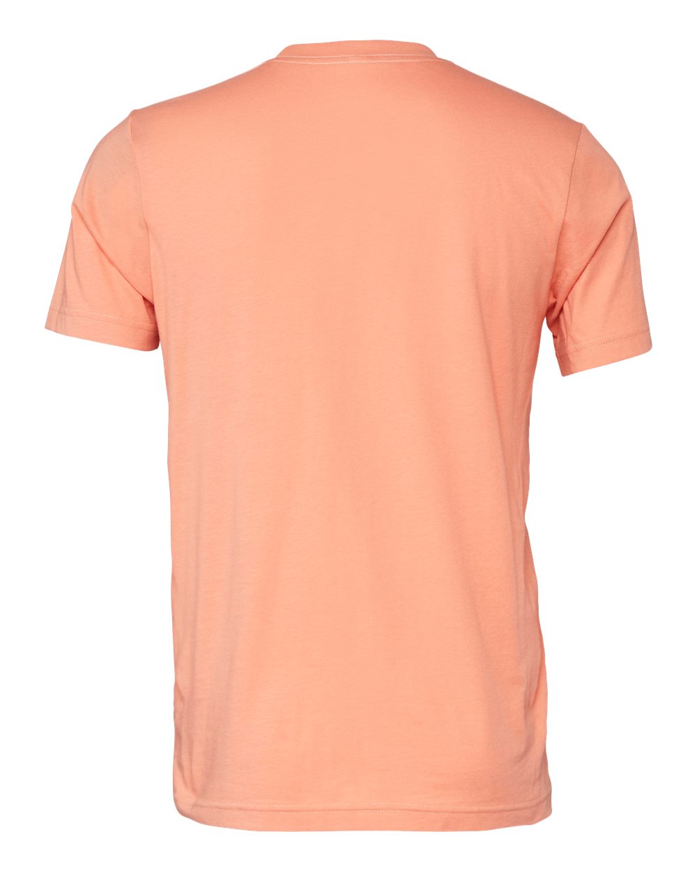 Rear View of Sunset Jersey Tee - 3001